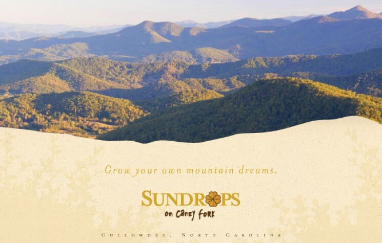 Sundrops on Caney Fork | lg sundrops 4-1